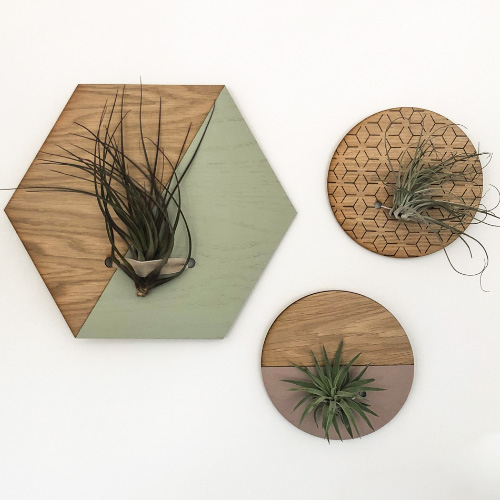 Pink and olive wall objects with a hexagonal planter